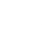THE BLAK BRUSH